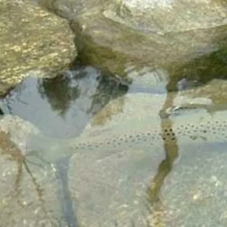 Bilocale A Due Passi Dal Gran Paradiso Locana